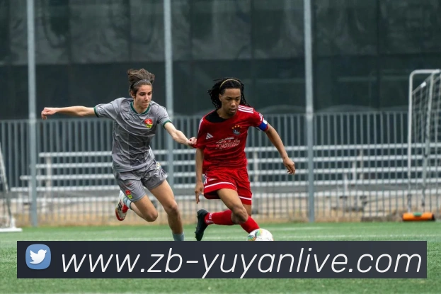 App Interface Preview